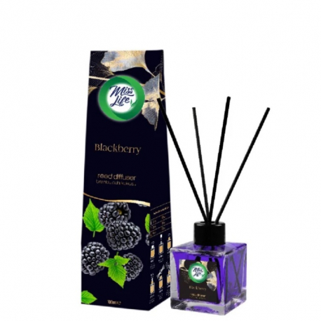 Osviežovač stick 100ml -Blackberry